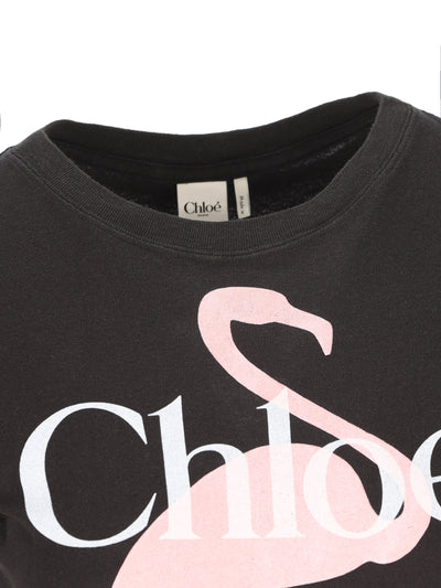 T-shirt baby fit con logo in jersey di cotone CH26SJH08194 070 CHLOE'