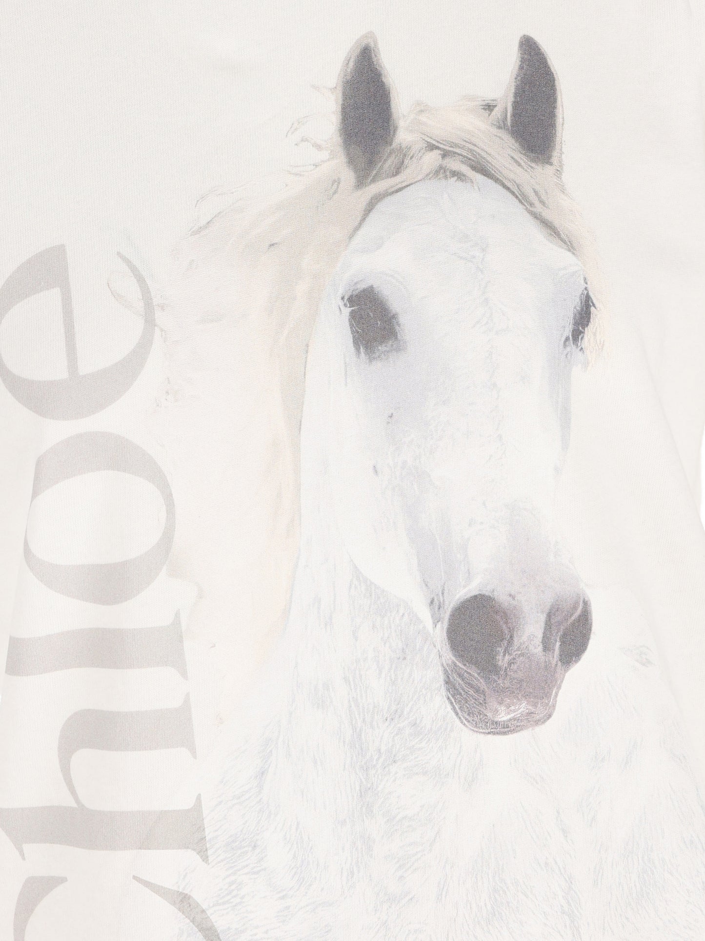 T-shirt girocollo in jersey di cotone biologico. CH26SJH11802 101 CHLOE'