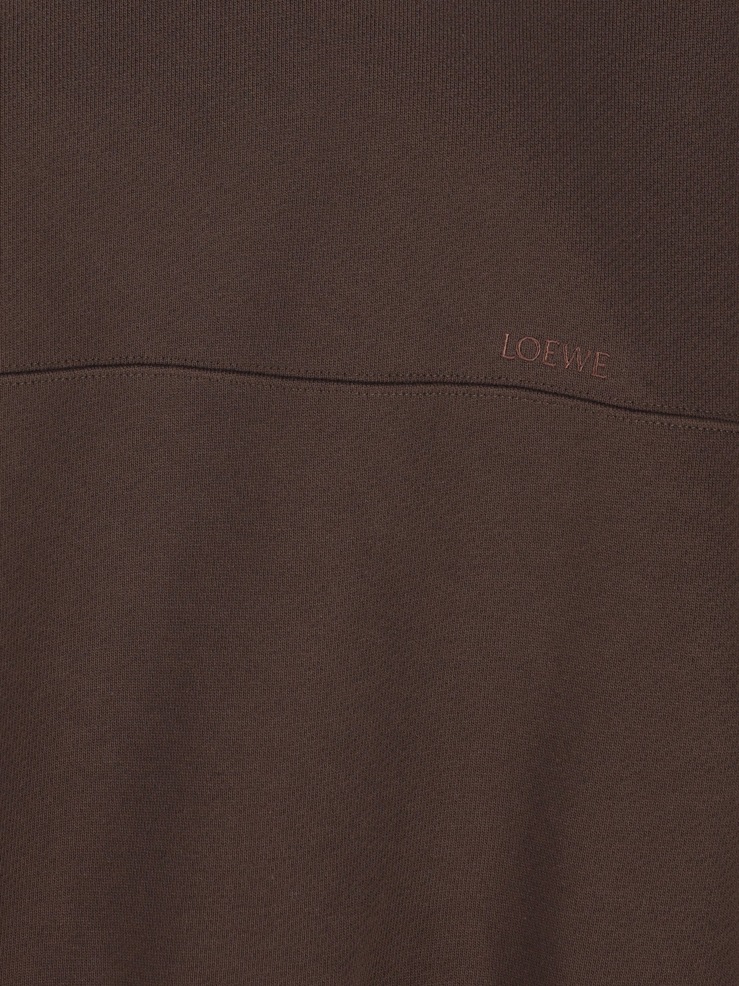 Felpa in pile di cotone. S359Y24X66 3100 LOEWE