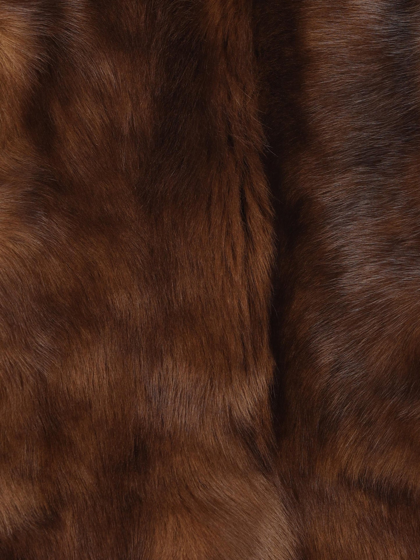 Giacca realizzata in montone. 6091JF251 TOF ZIMMERMANN