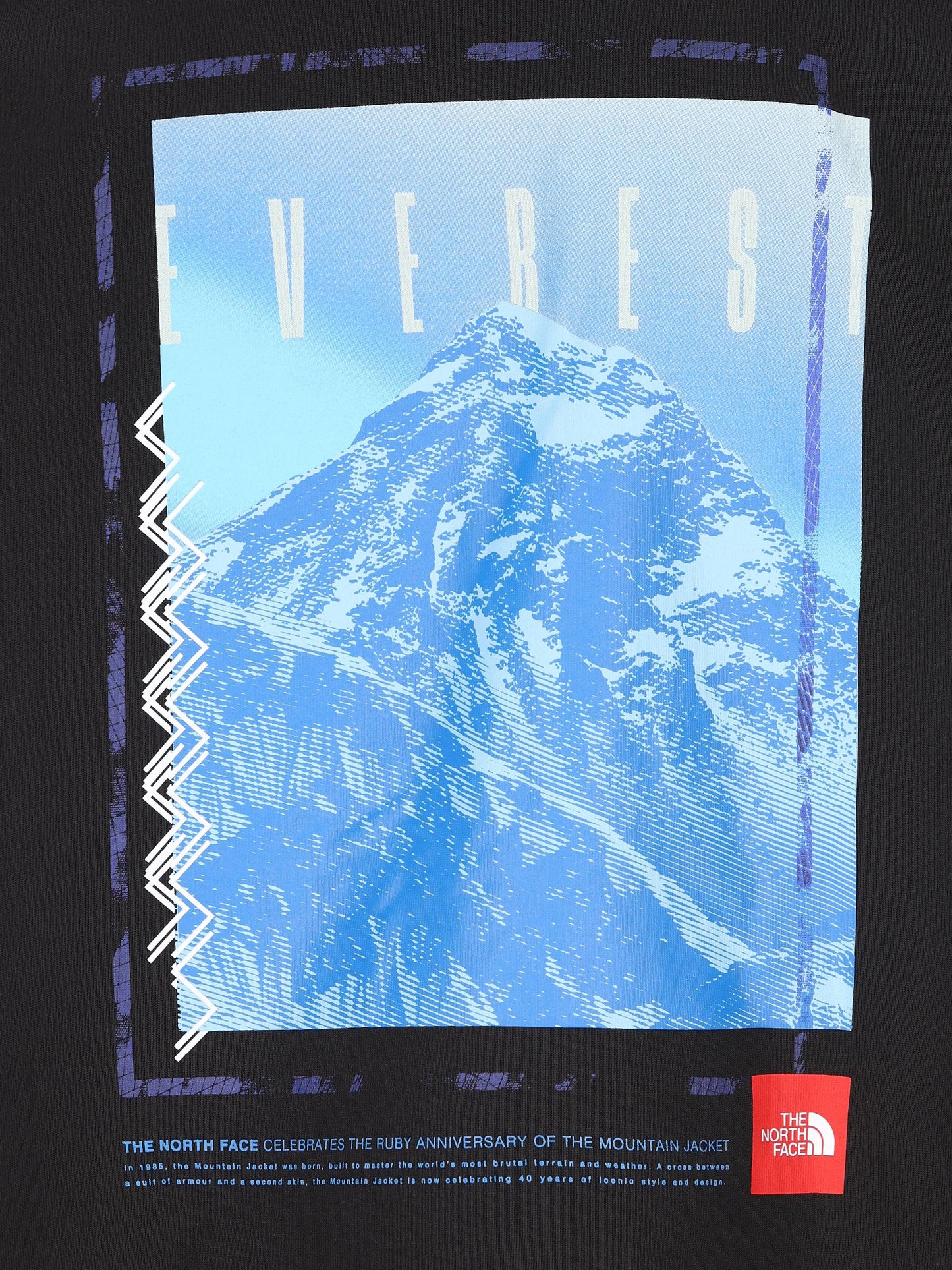 Felpa realizzata in cotone. NF0A8C1Q JK31 THE NORTH FACE