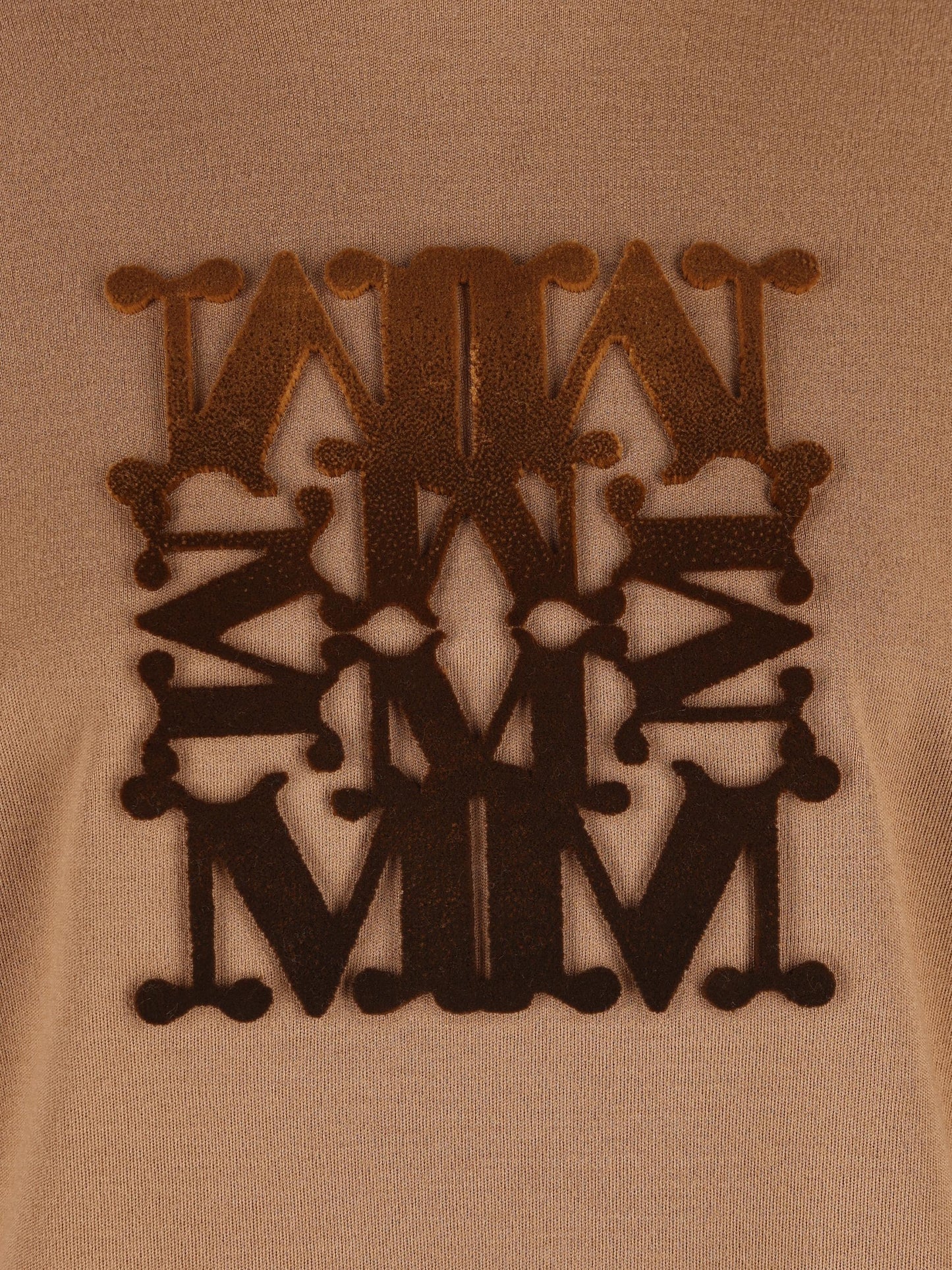 Felpa in Lana Vergine con Cappuccio e Logo in Velluto 2521366222600 013 MAX MARA