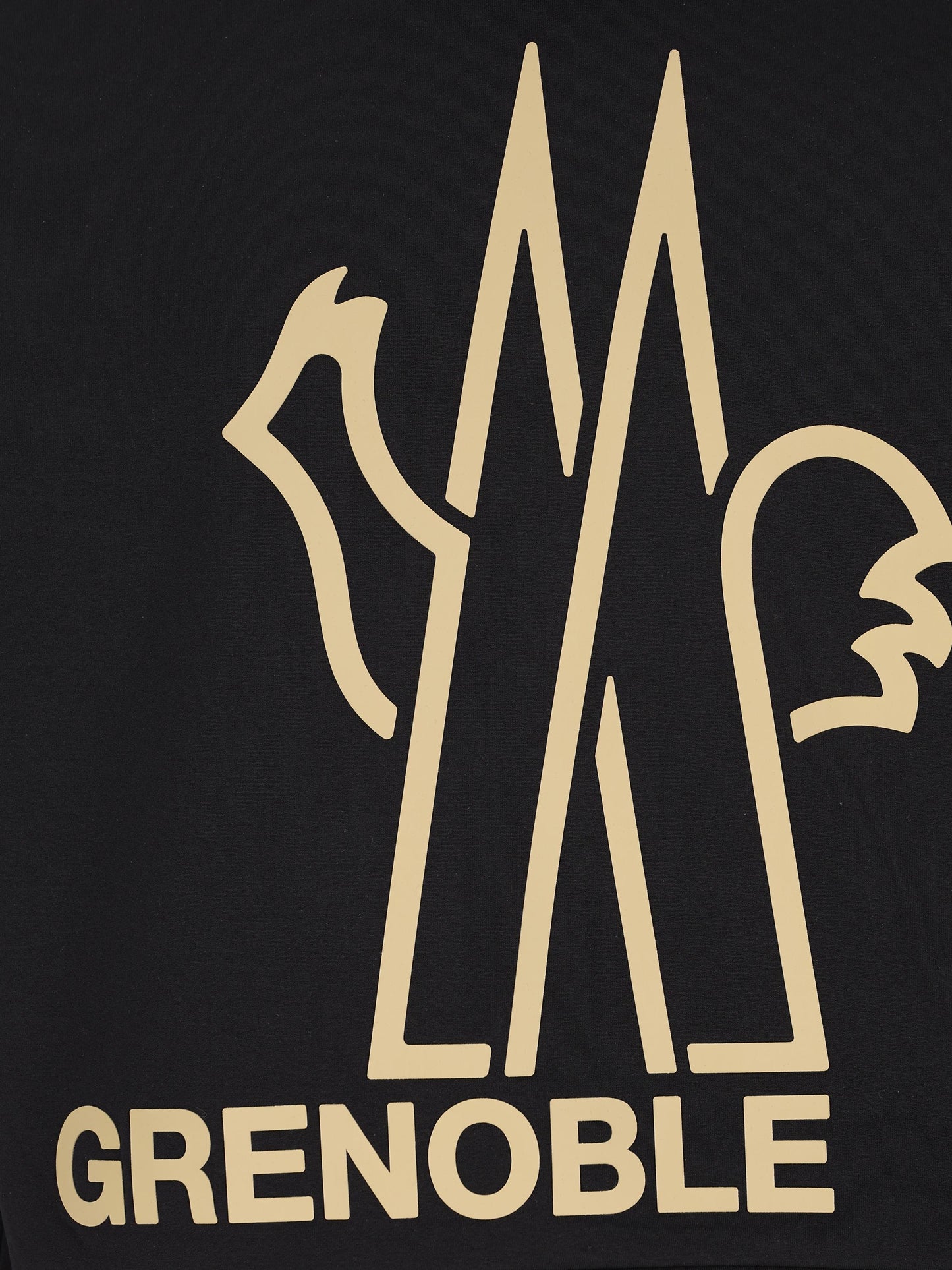 Felpa realizzata in poliestere e poliammide. M8G00028 899IG999 MONCLER GRENOBLE