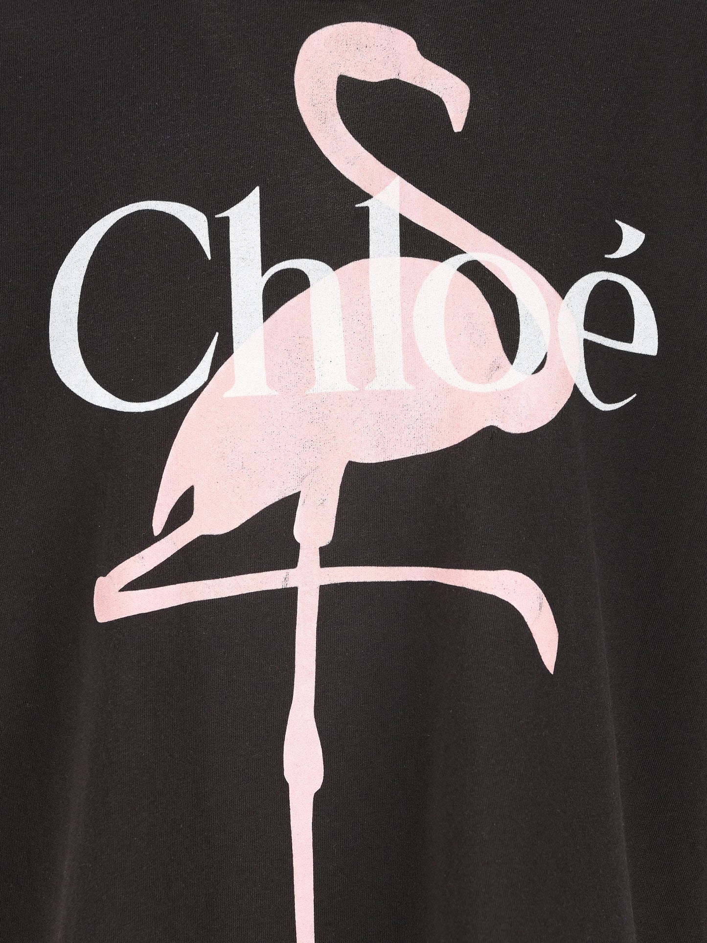 T-shirt ampia con logo in jersey di cotone CH26SJH20807 070 CHLOE'