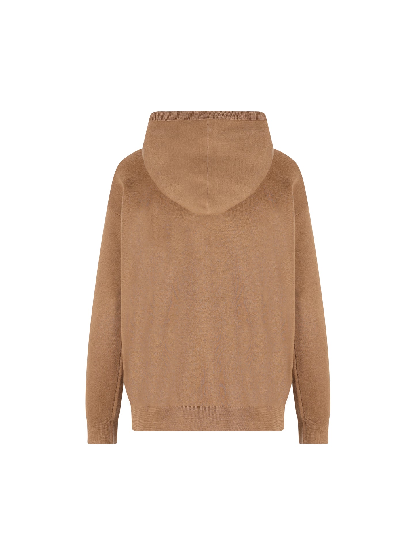 Felpa in Lana Vergine con Cappuccio e Logo in Velluto 2521366222600 013 MAX MARA 