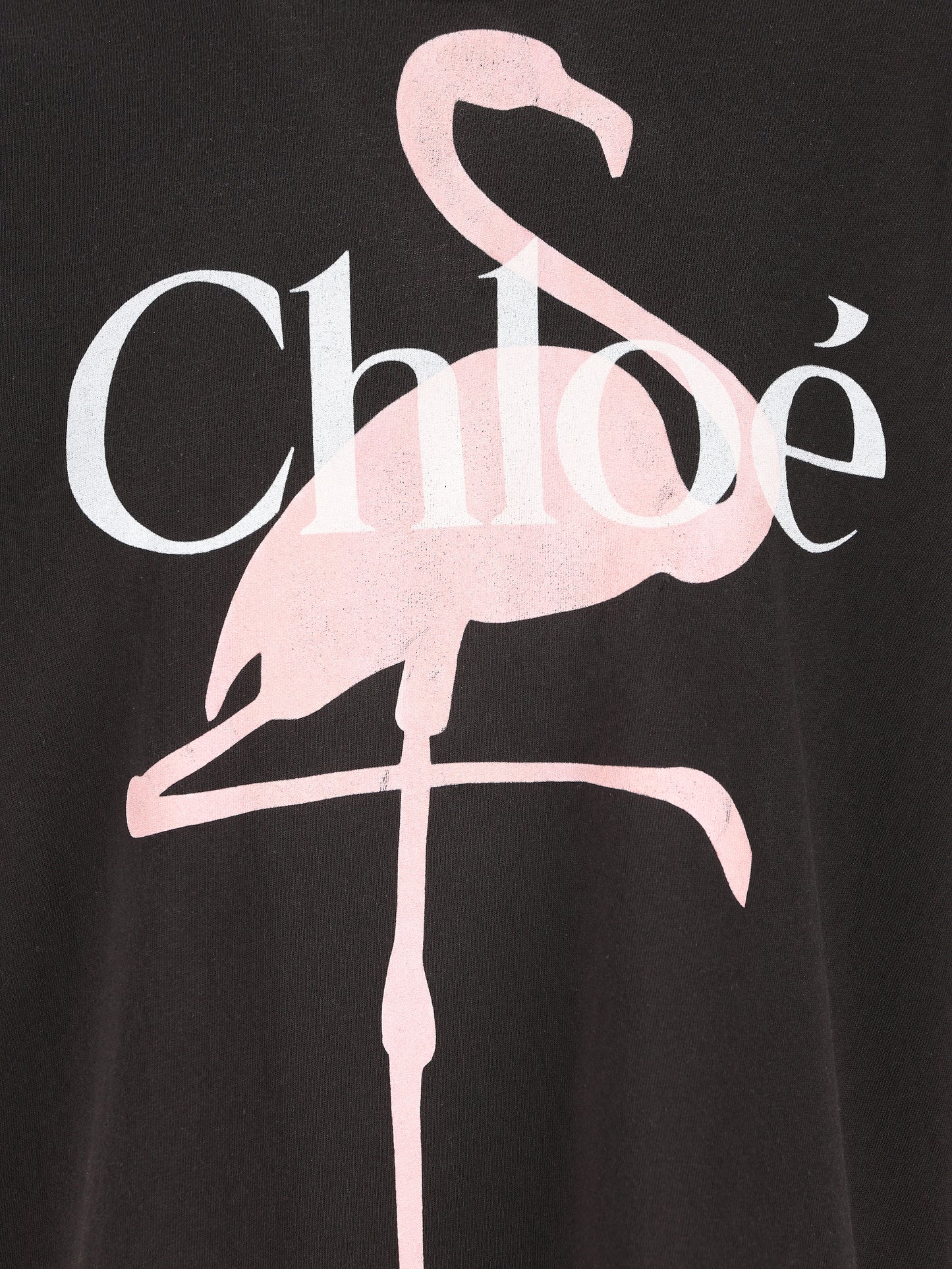 T-shirt ampia con logo in jersey di cotone CH26SJH20807 070 CHLOE' 