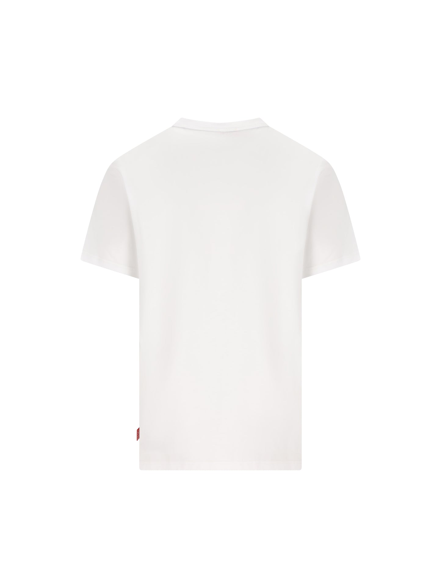 T-Shirt realizzata in cotone. A22005 0PLAT100 DIESEL 