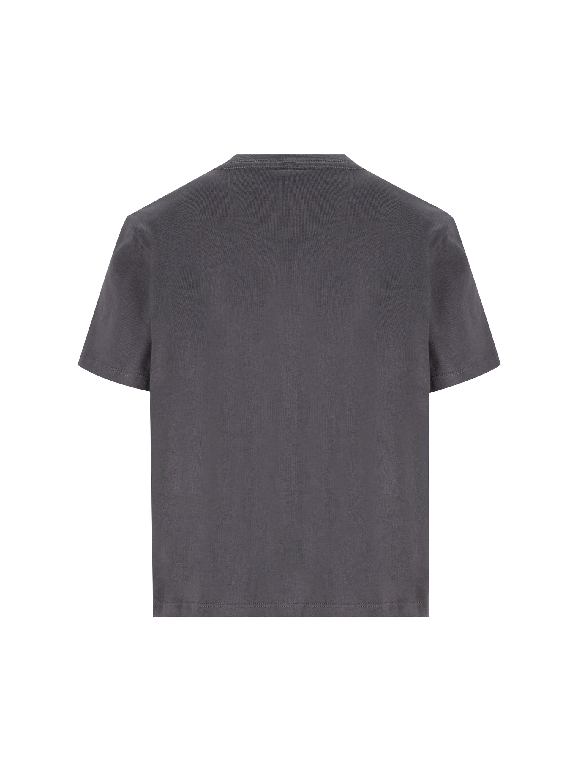 T-Shirt realizzata in cotone. NF0A8GR1 RHI1 THE NORTH FACE 