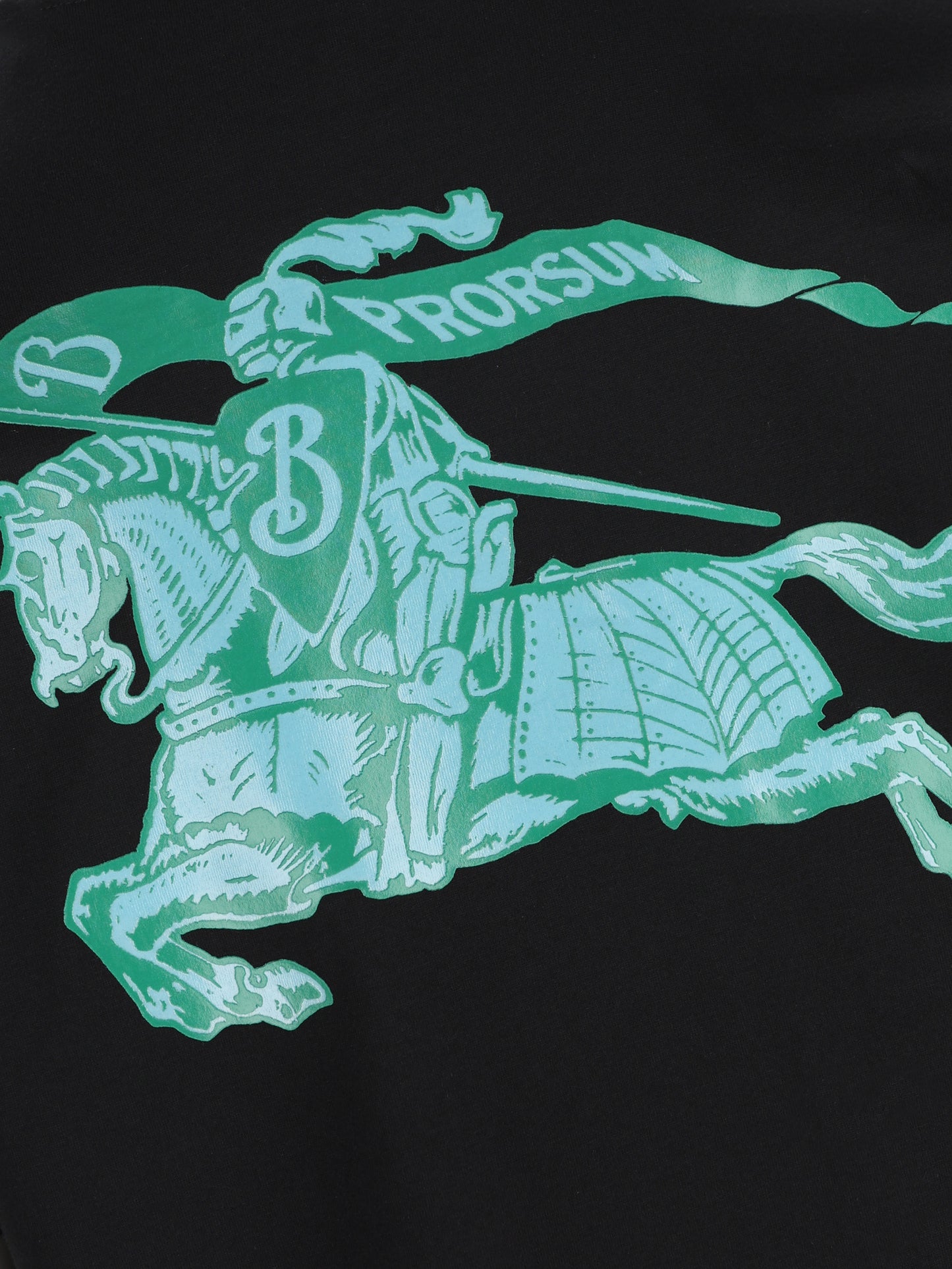T-shirt girocollo in jersey di cotone. 8128068 A1189 BURBERRY 