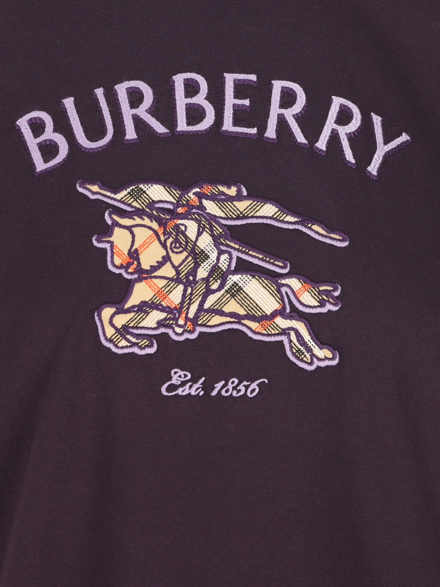  8132678 C6479 BURBERRY 