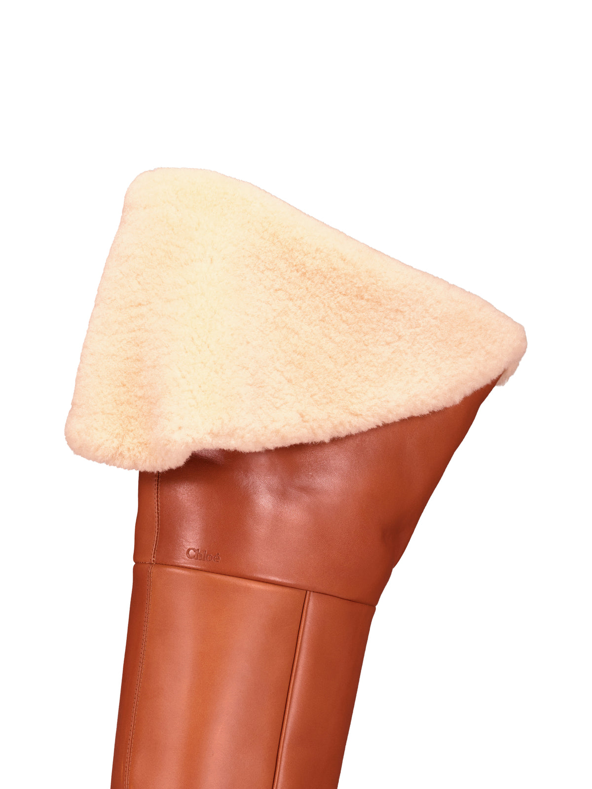 Stivali realizzati in pelle CH26W21N1I 27T CHLOE' 
