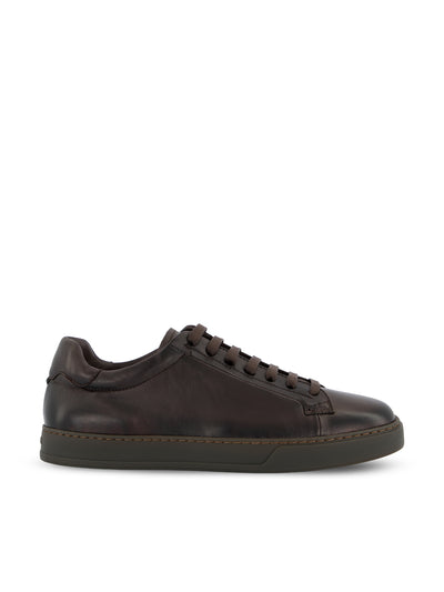 Sneaker Doucal's in pelle testa di moro DU3552SPENUF282OM00  DOUCAL'S 