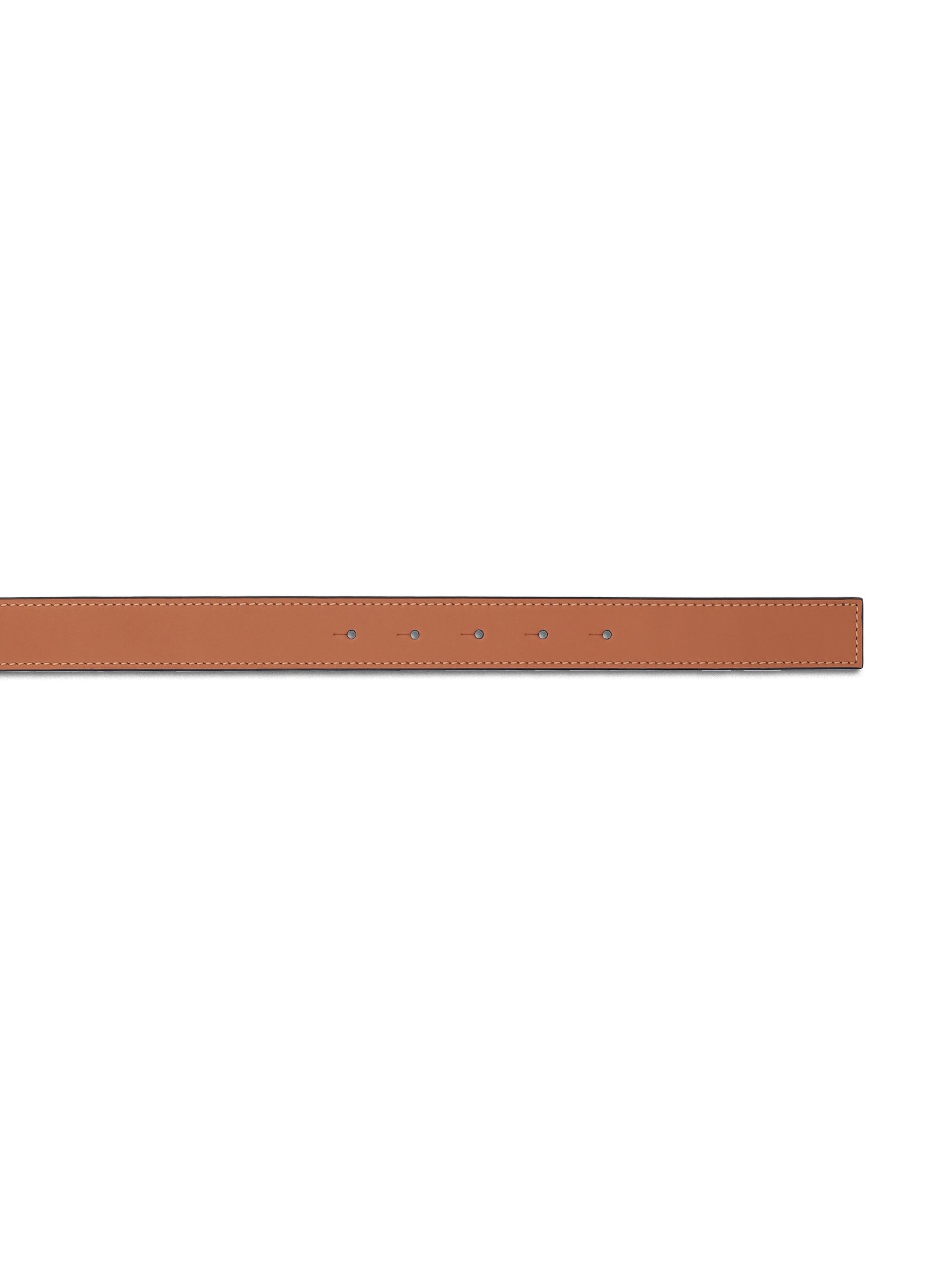 Cintura realizzata in pelle di vitello. E821Z26X03 2544 LOEWE 