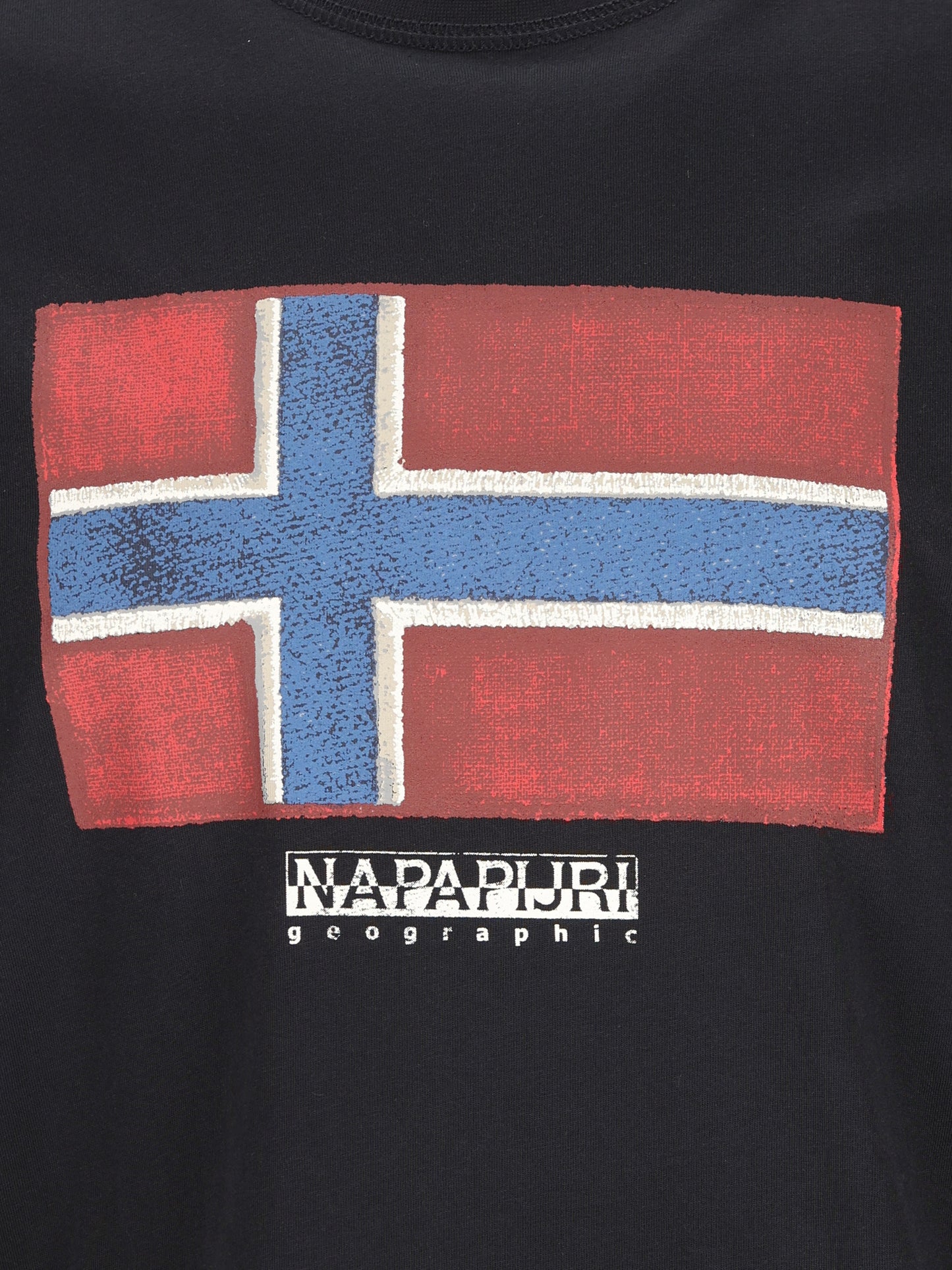 T-Shirt realizzata in cotone. NP0A8A6I 9411 NAPAPIJRI 