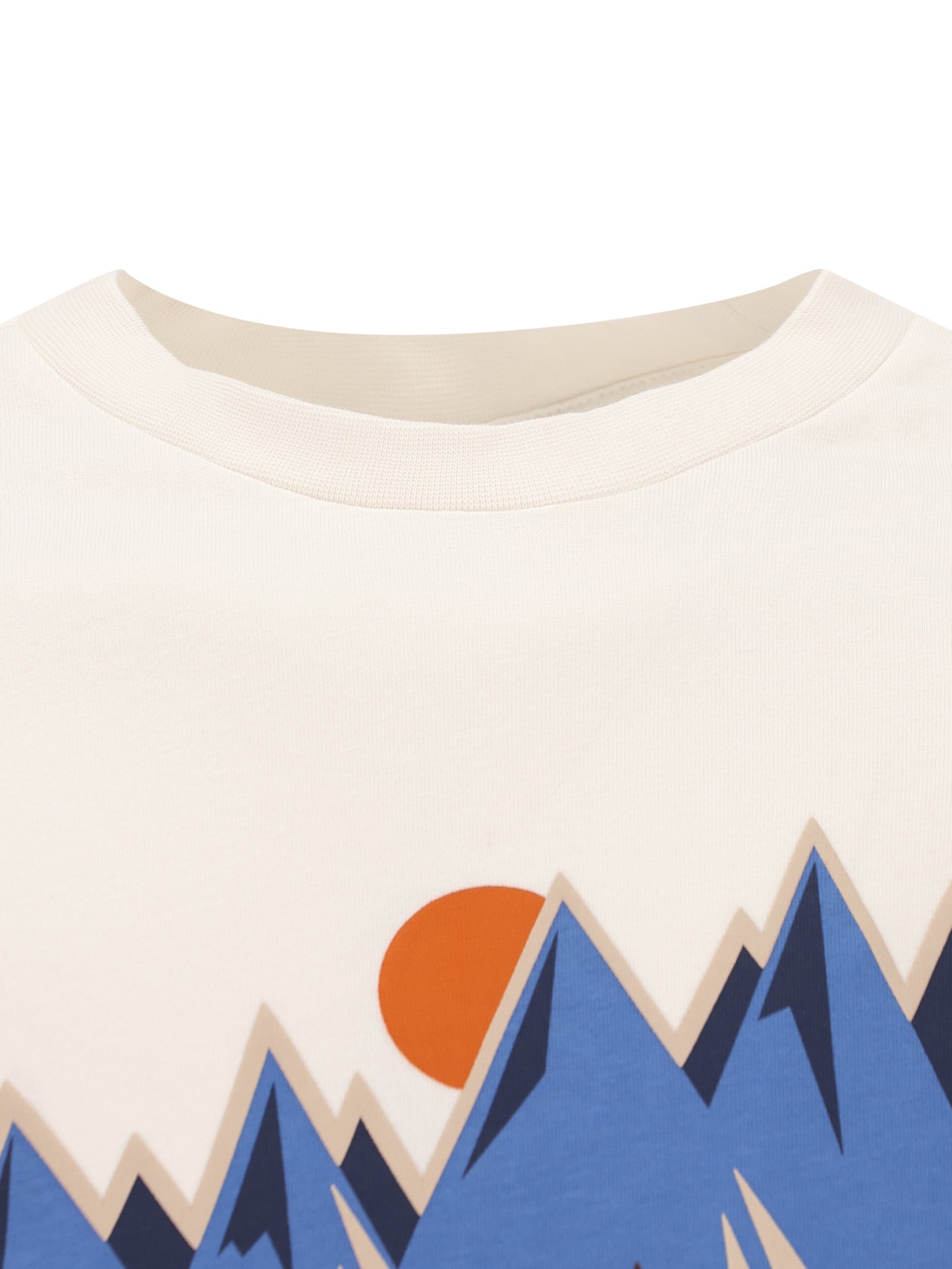 T-Shirt Tee a Maniche Lunghe NP0A8BA7 FVA1 NAPAPIJRI 