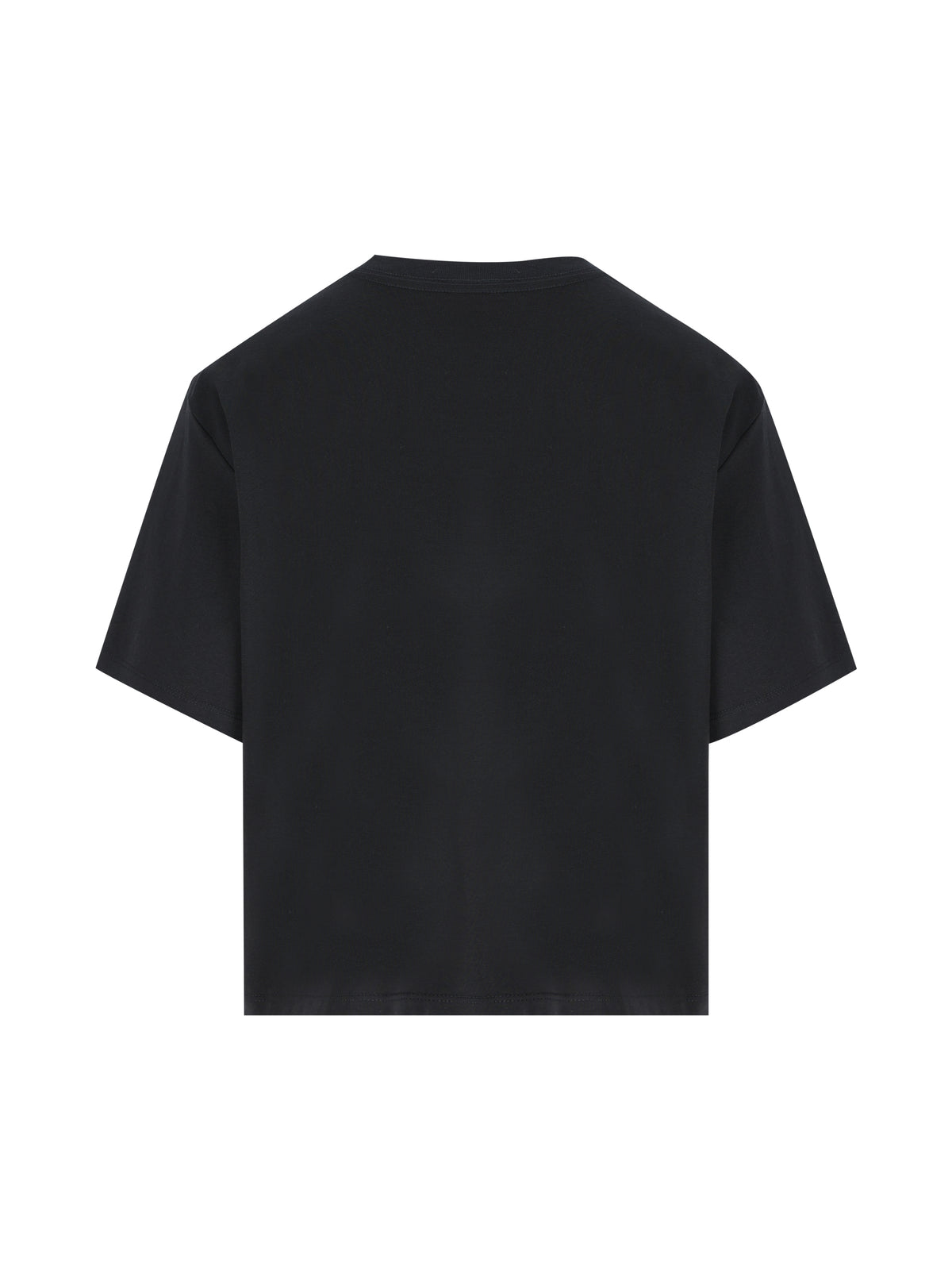 T-shirt Evolution Simple Dome Cropped NF0A8FDH JK31 THE NORTH FACE 