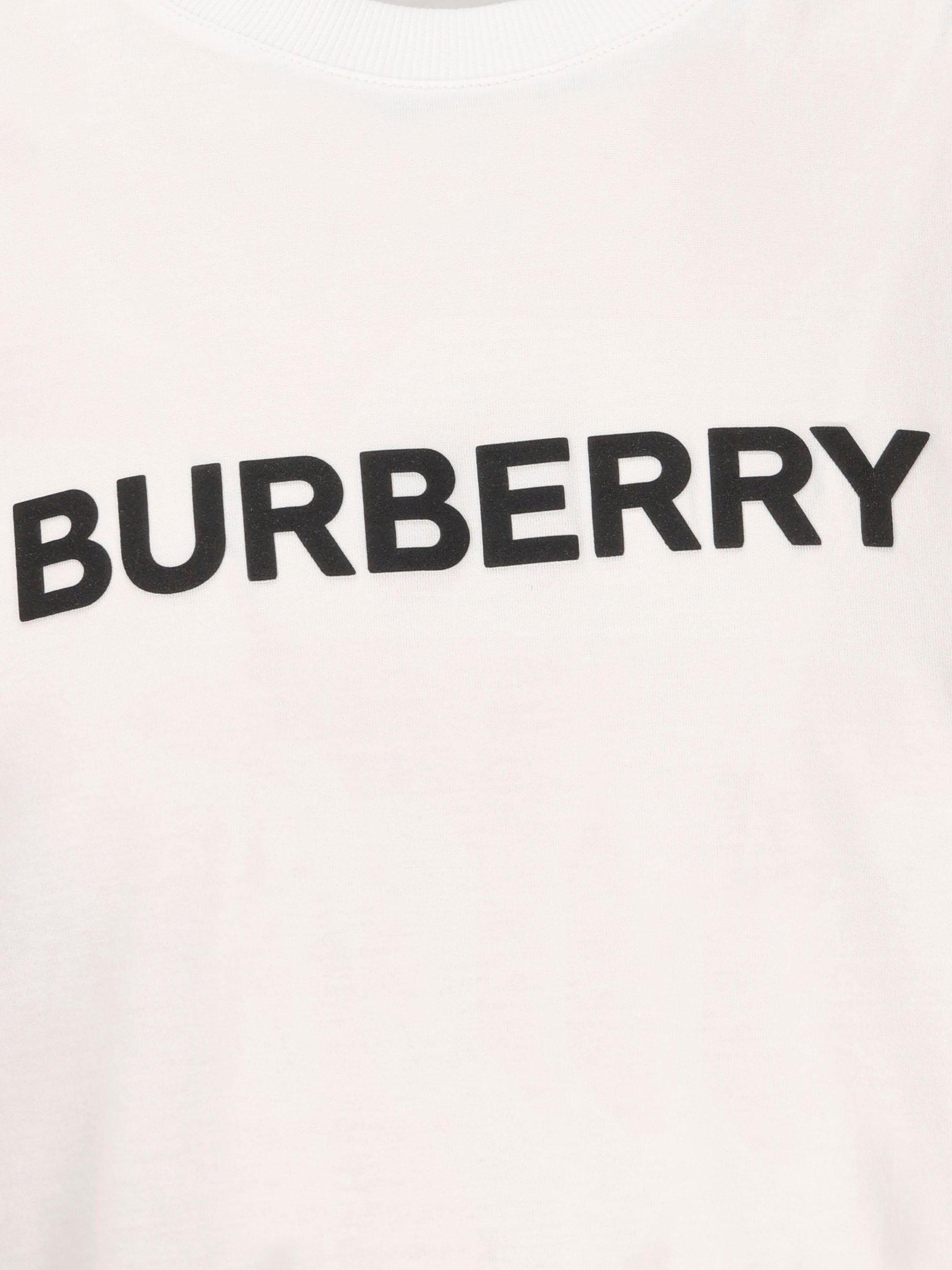 BURBERRY 8084234A1464