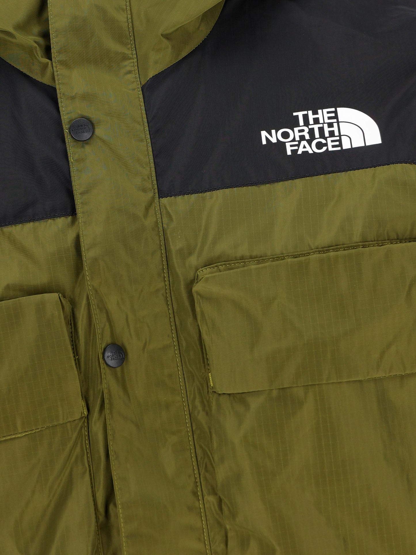 THE NORTH FACE NF0A879GPIB1