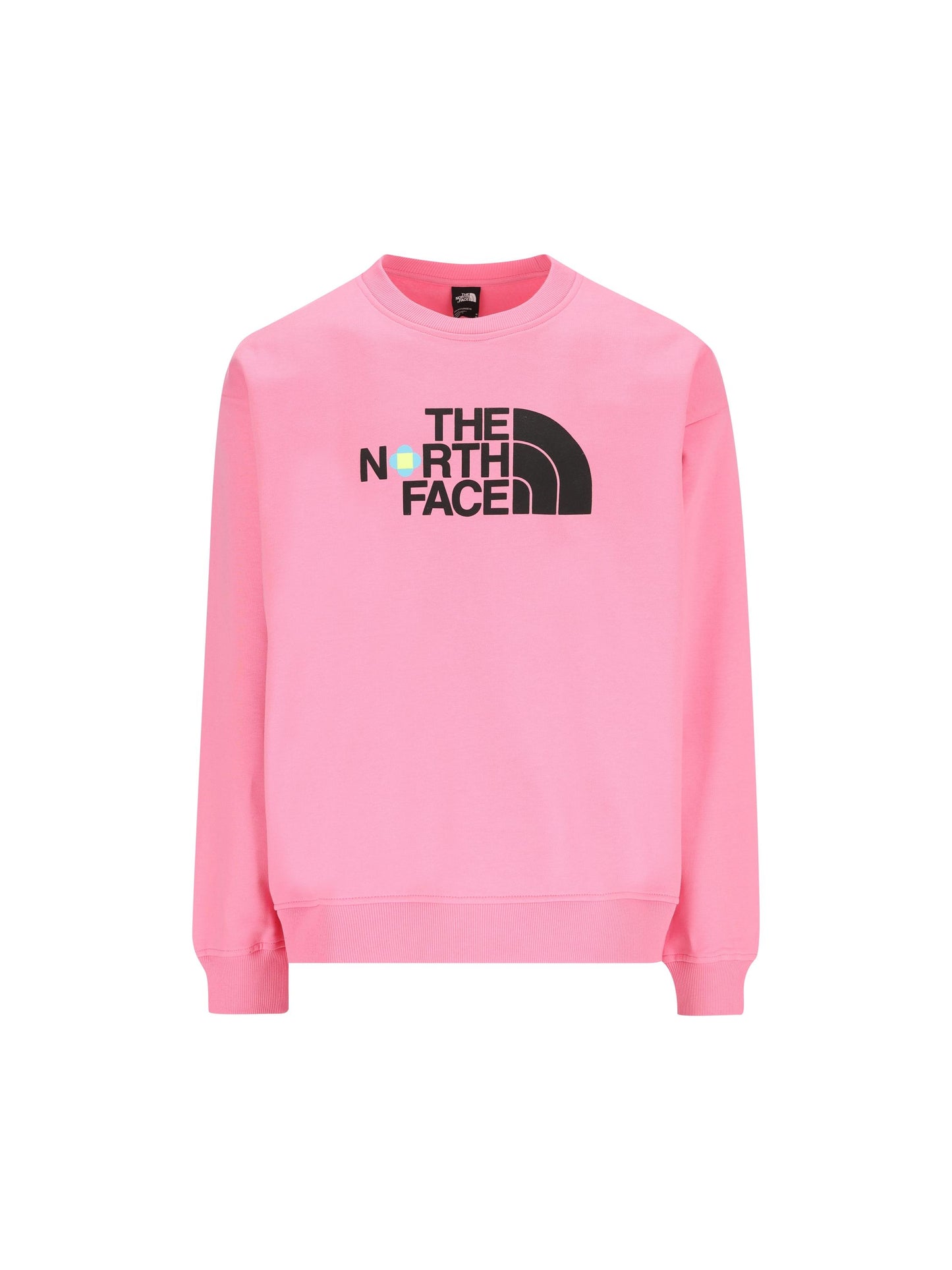 THE NORTH FACE NF0A89C8PIH1