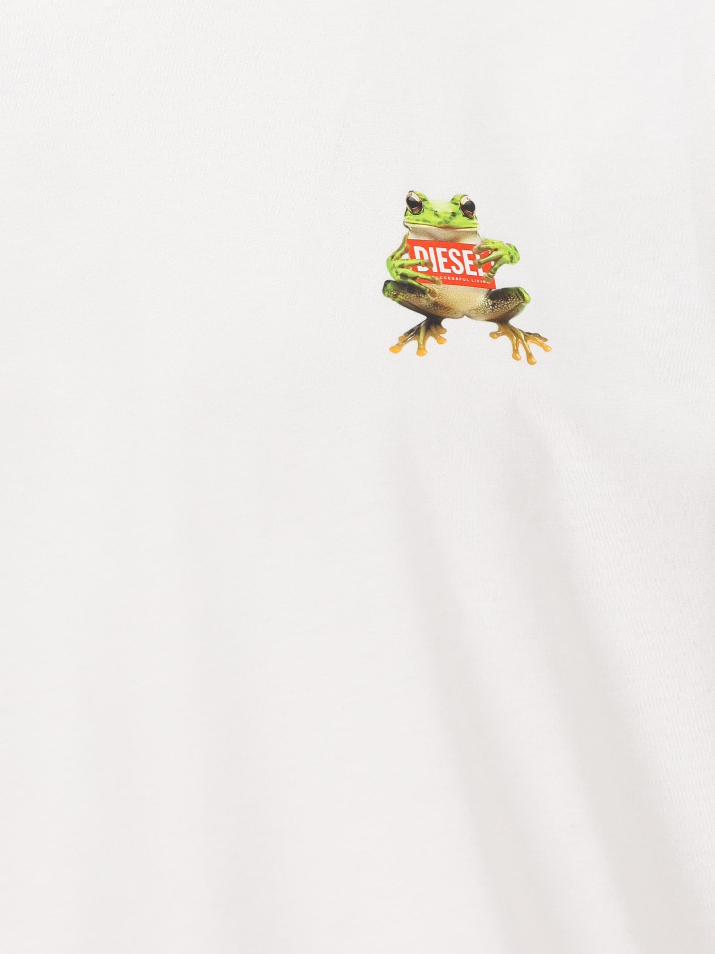 T-shirt con stampa di rana e logo A21651 0PLAT100 DIESEL 