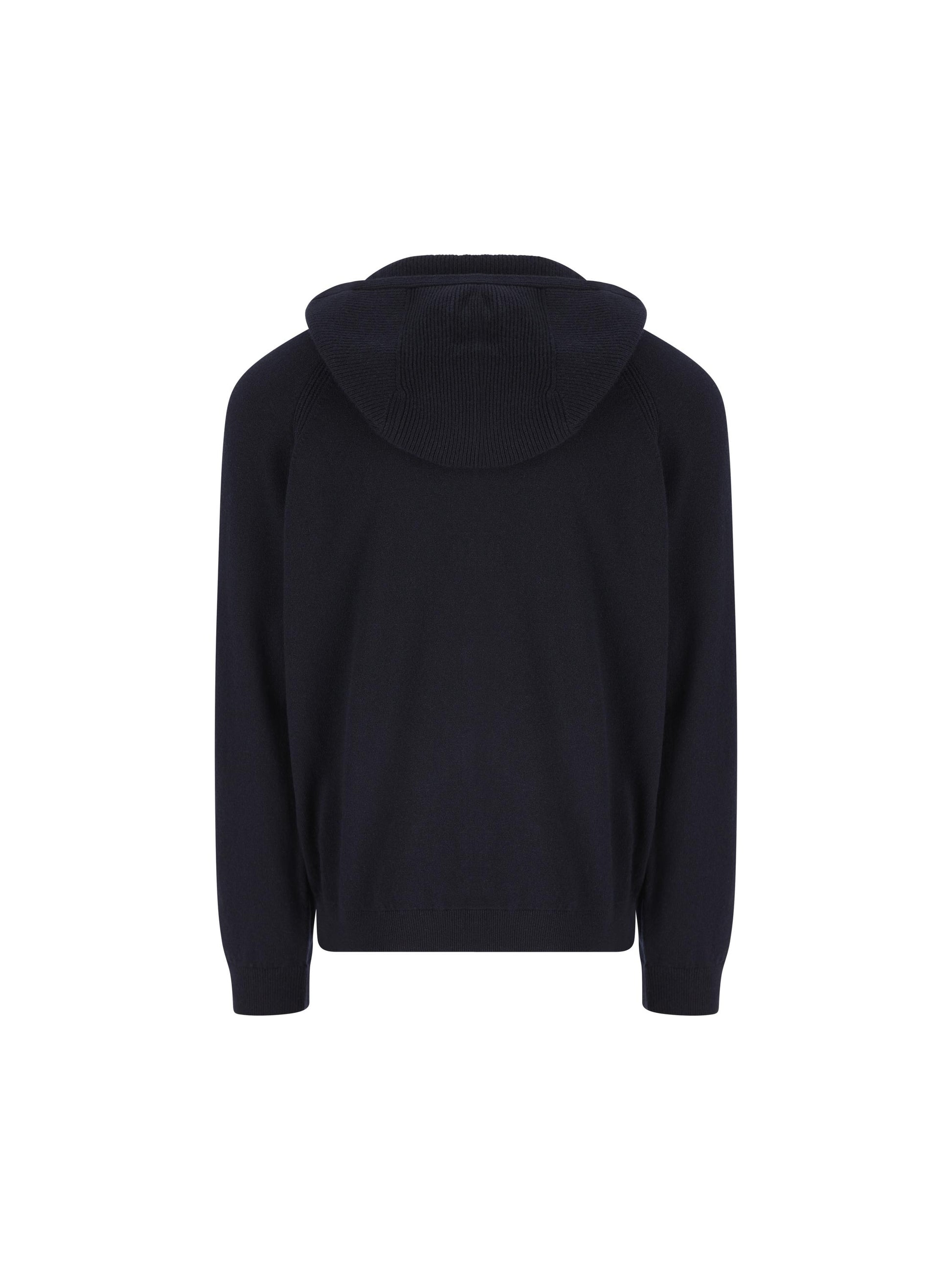 Felpa in Baby Cashmere con Cappuccio FAP0178 W000 LORO PIANA 