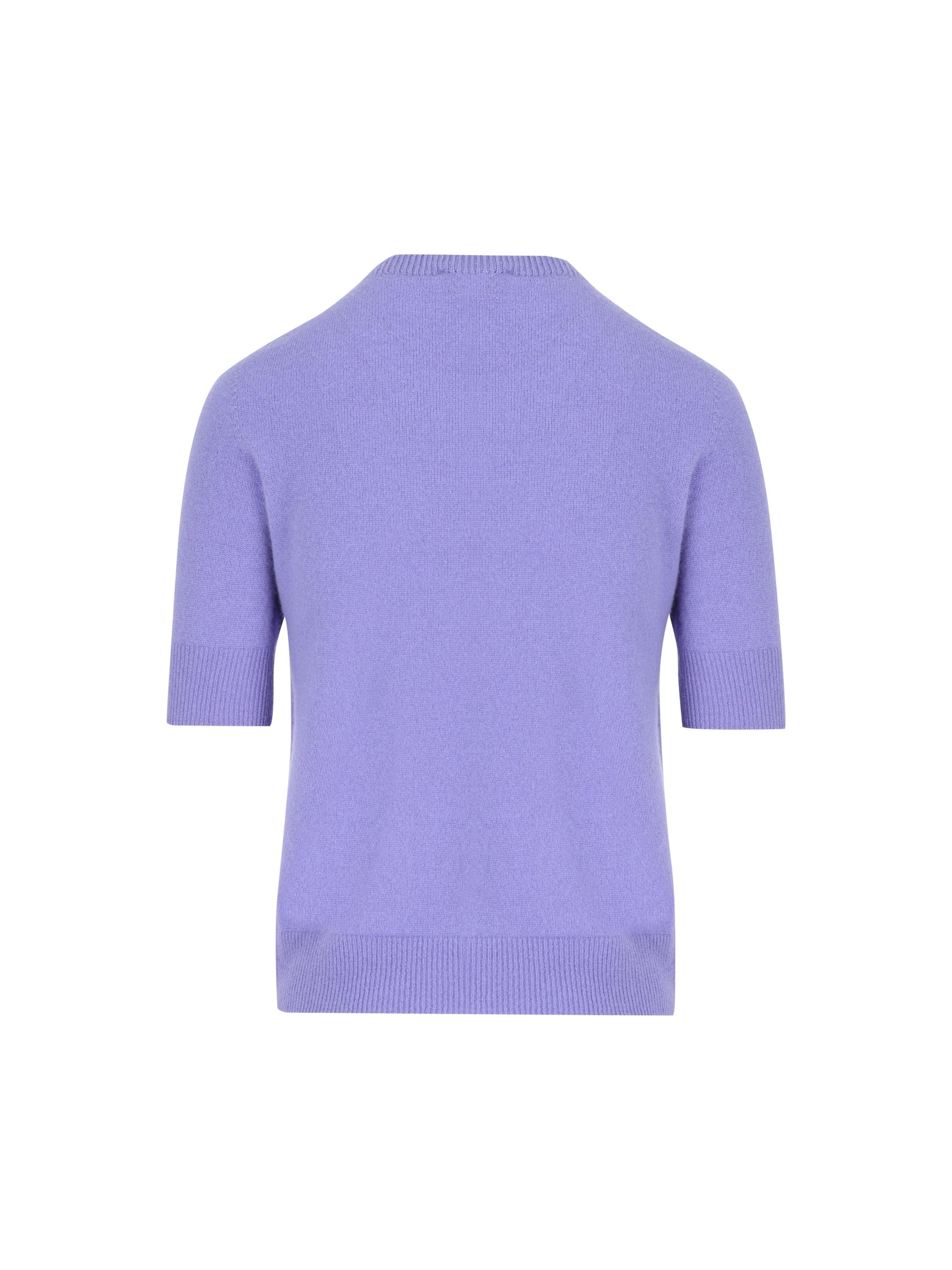 Maglia realizzata in cashmere. V36614 IRIS VANISE' 