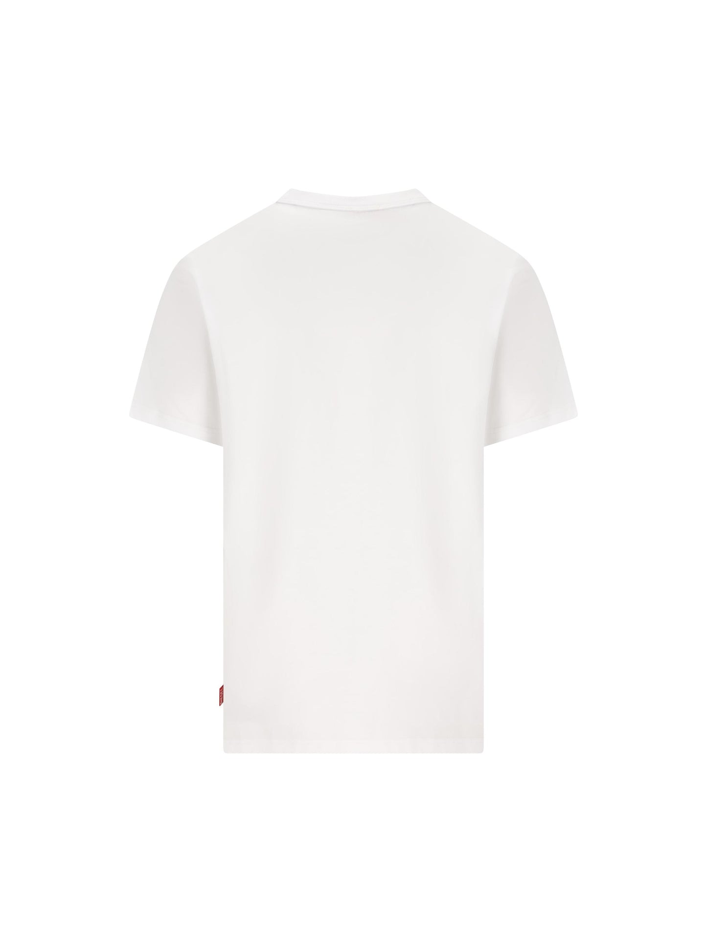 T-Shirt realizzata in cotone. A22005 0PLAT100 DIESEL 