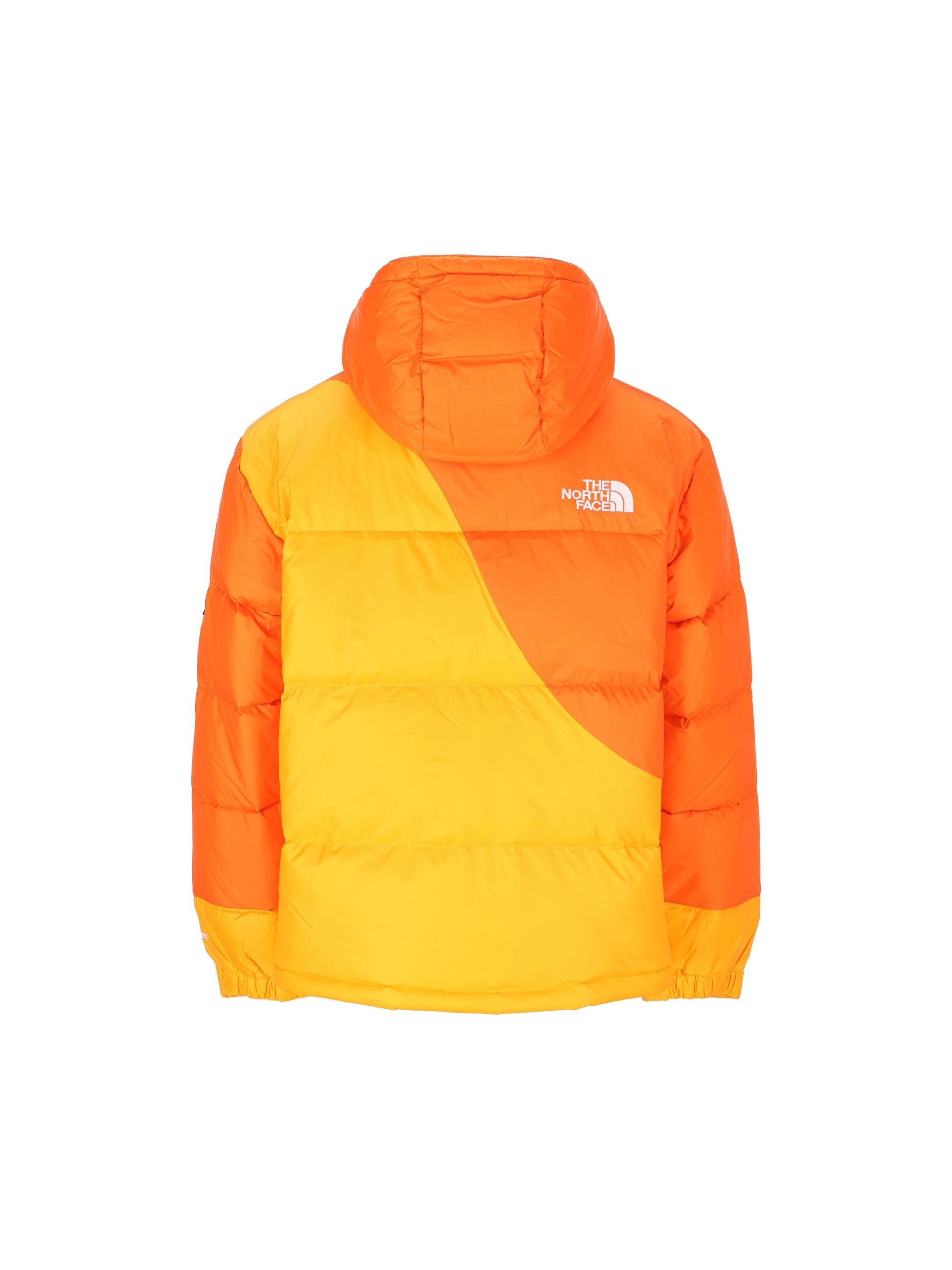 THE NORTH FACE NF0A89GD0IH1