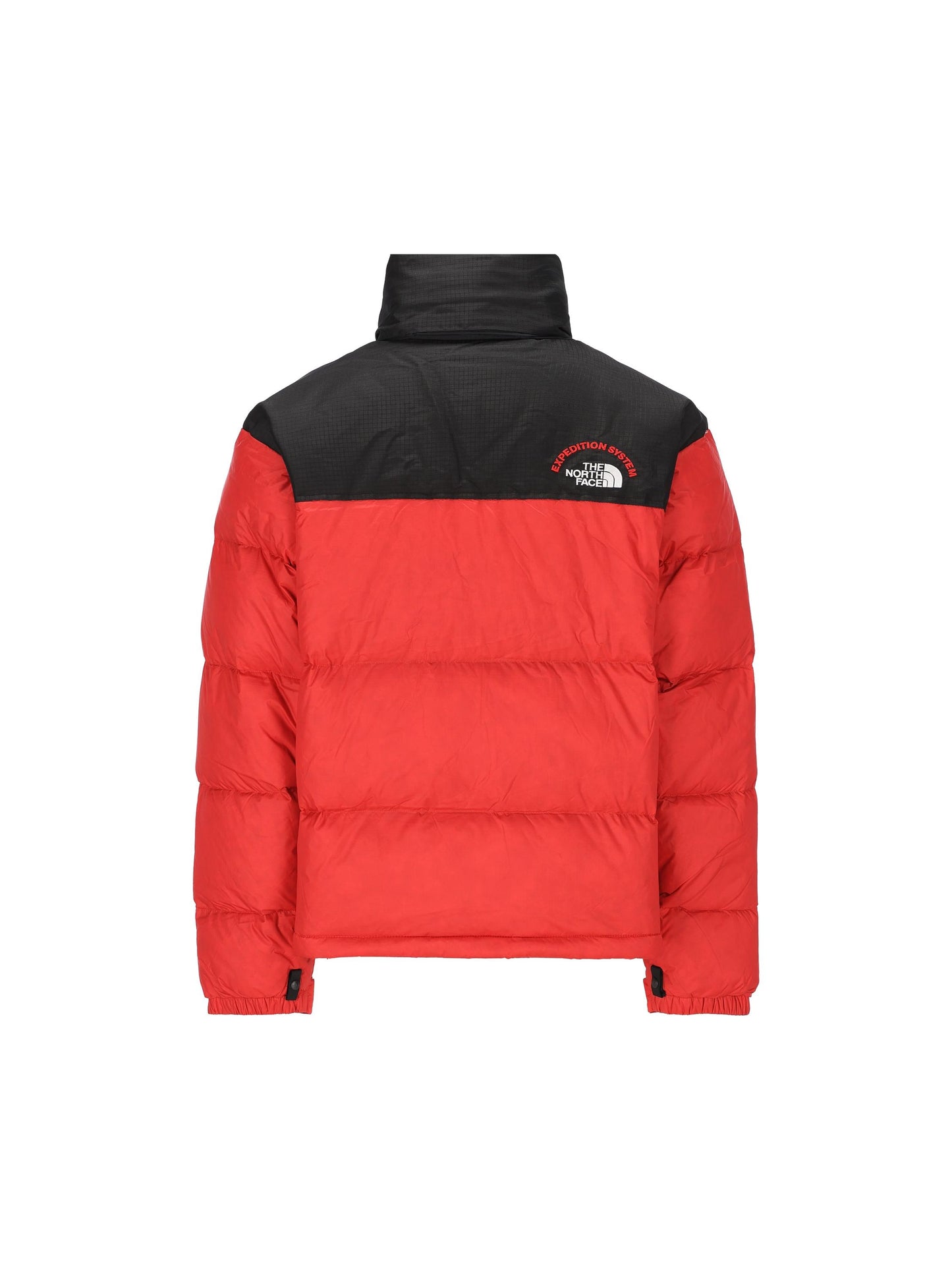 THE NORTH FACE NF0A3C8D7GO1