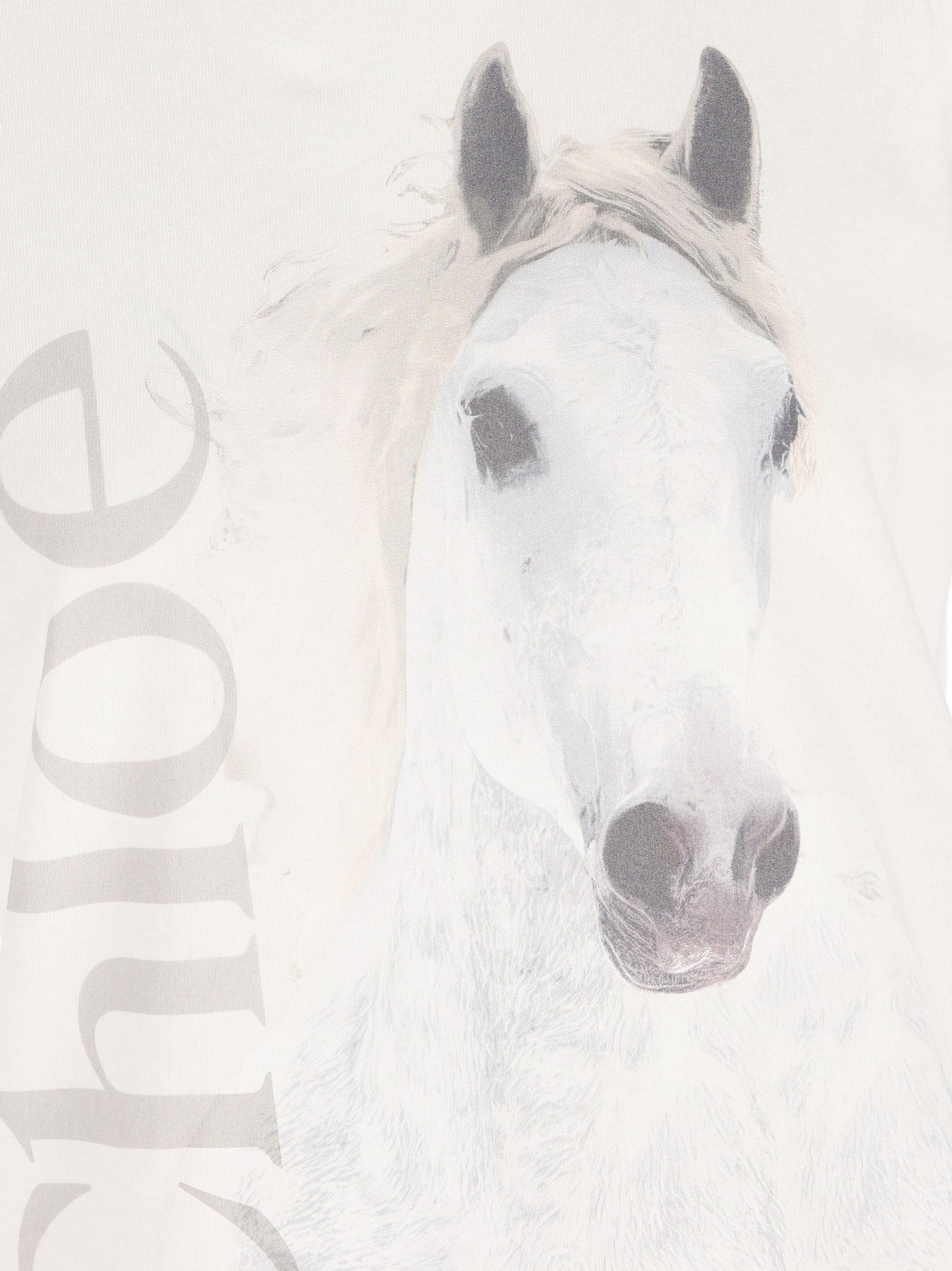 T-shirt girocollo in jersey di cotone biologico. CH26SJH11802 101 CHLOE' 