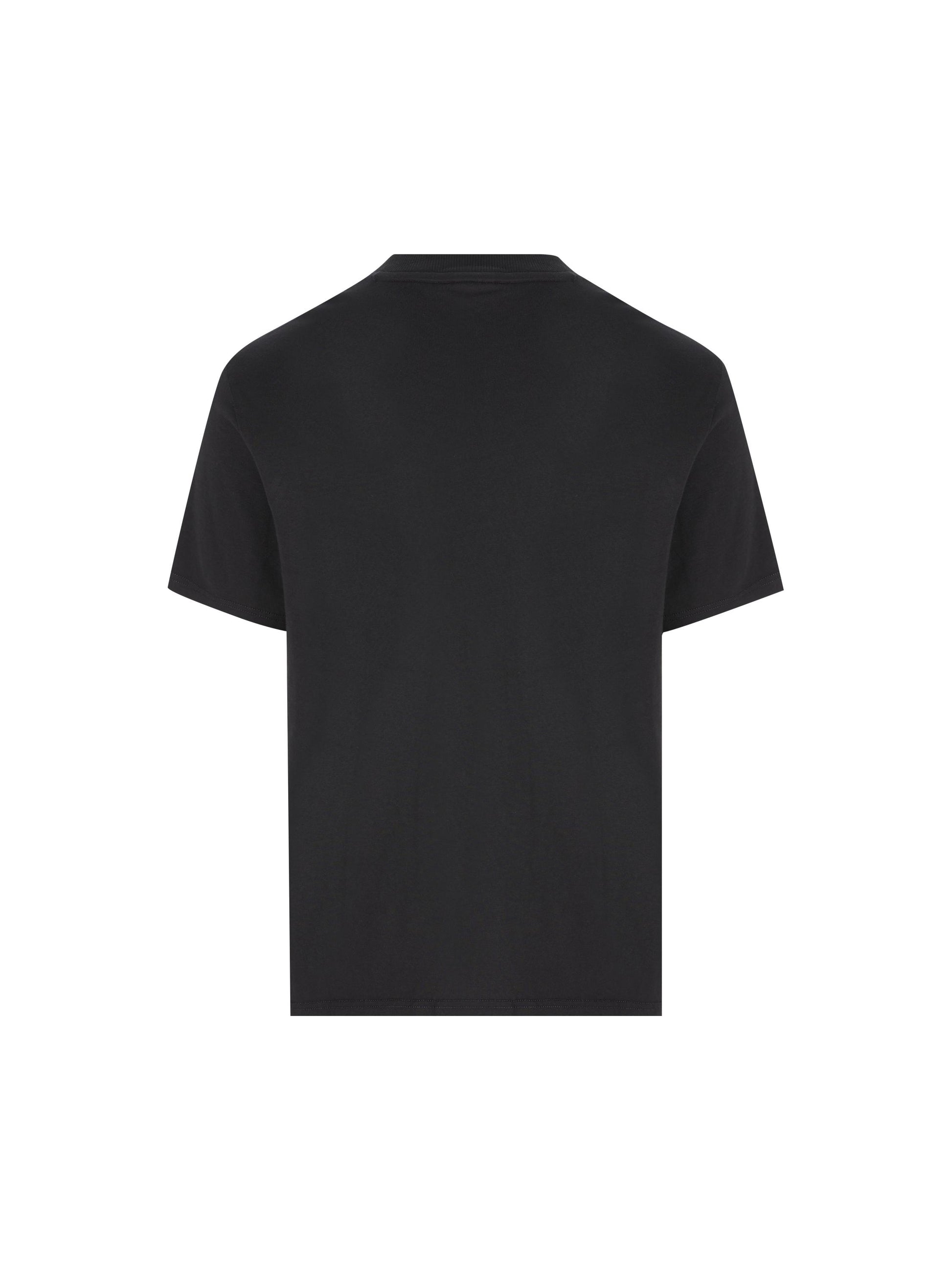 T-Shirt in cotone. NP0A88T59411 BLACK BEAUTY NAPAPIJRI 