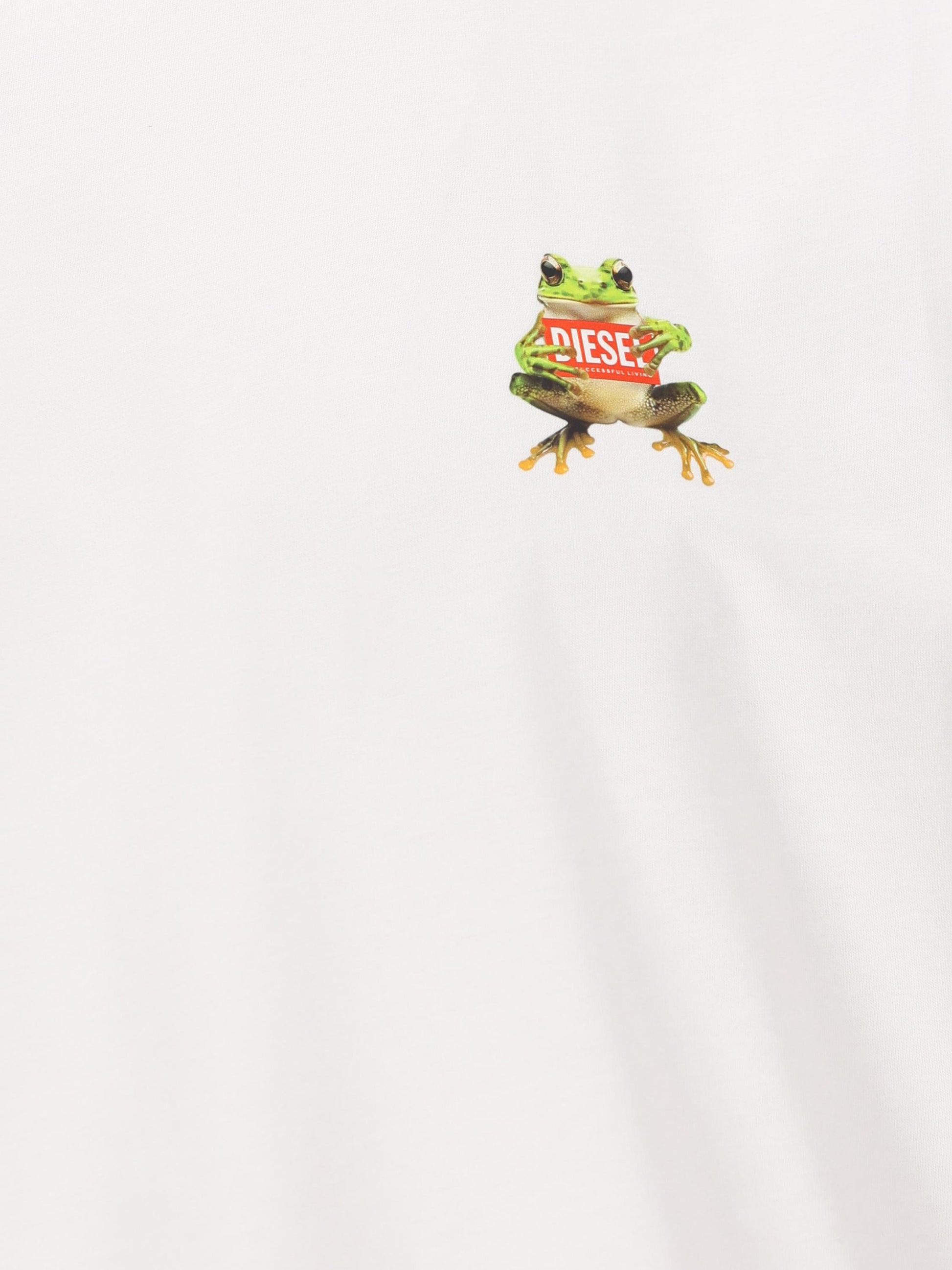 T-shirt con stampa di rana e logo A21651 0PLAT100 DIESEL 