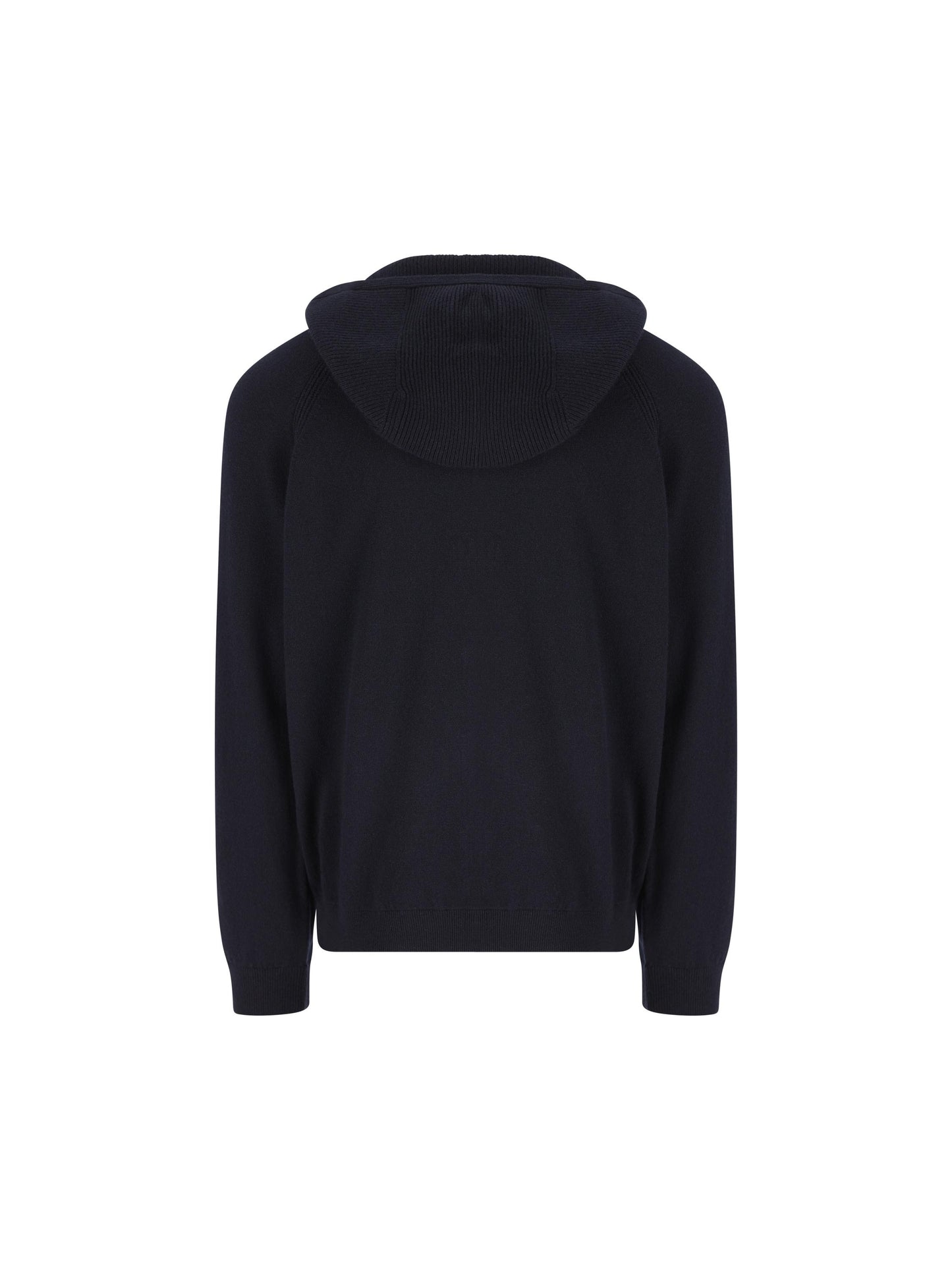 Felpa in 100% Baby Cashmere con Cappuccio FAP0178 W000 LORO PIANA 