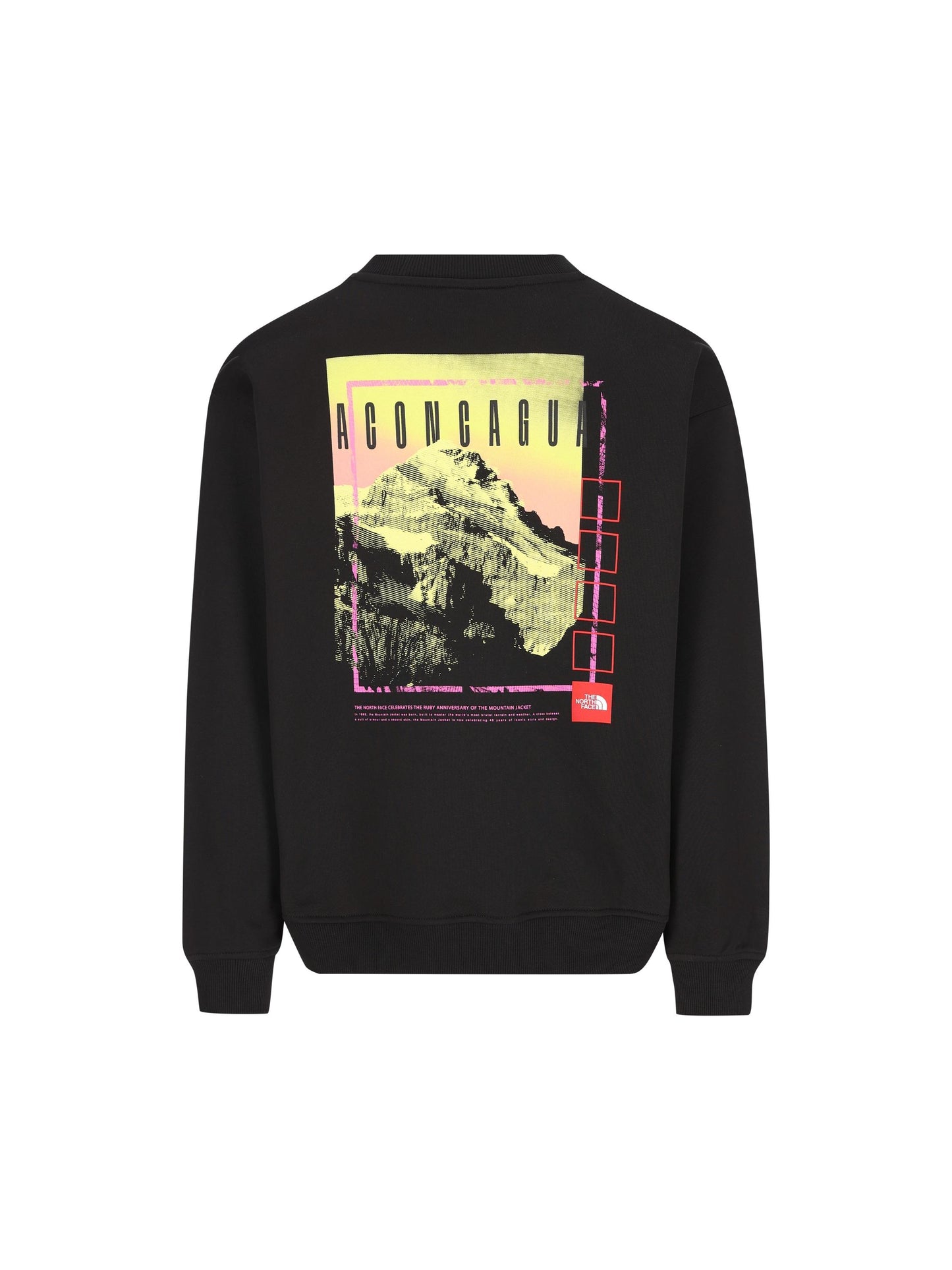 Felpa realizzata in cotone. NF0A8C1S JK31 THE NORTH FACE