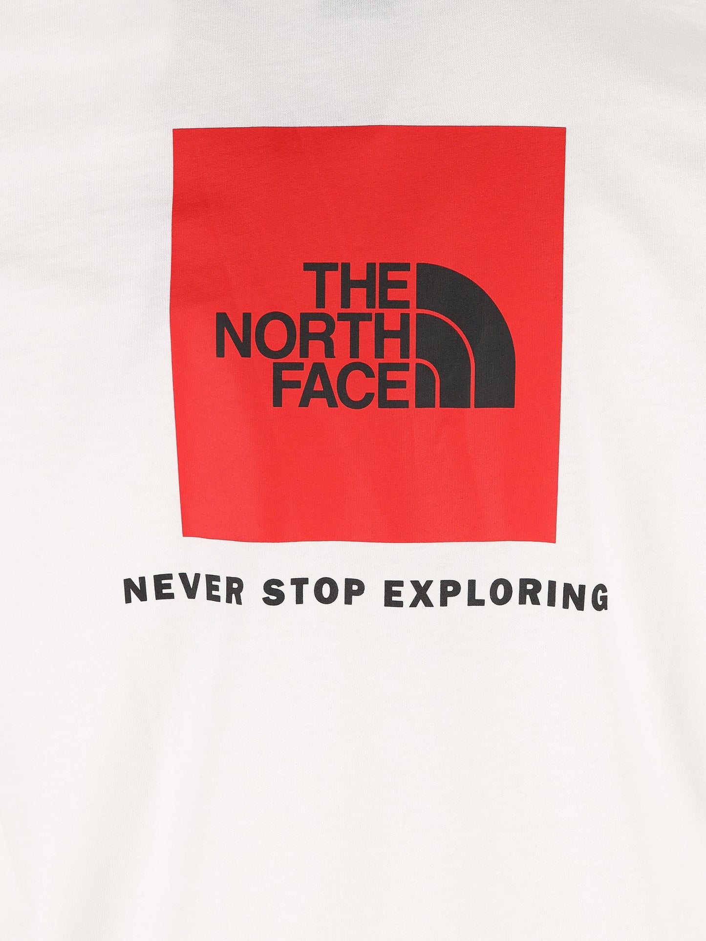 T-Shirt realizzata in cotone. NF0A87NP FN41 THE NORTH FACE 